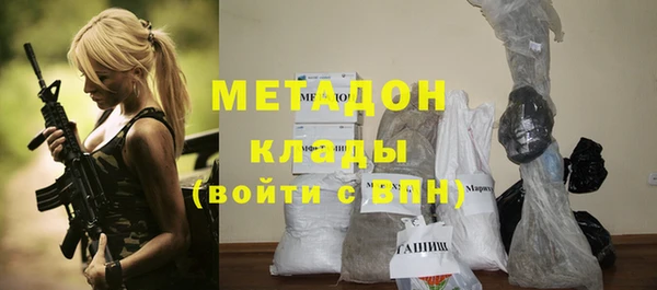 сатива Козловка