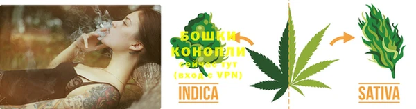 сатива Козловка