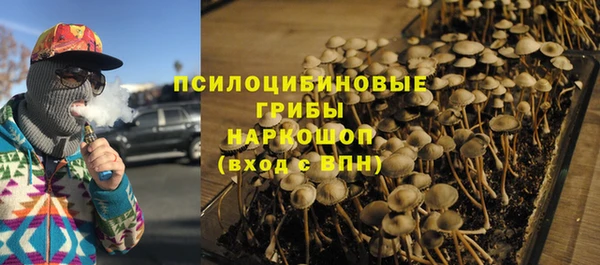 сатива Козловка