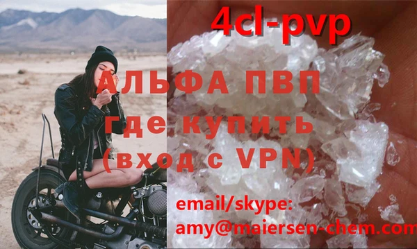 сатива Козловка