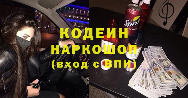 амф Козельск