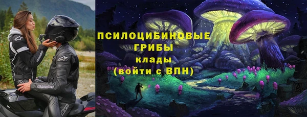 сатива Козловка