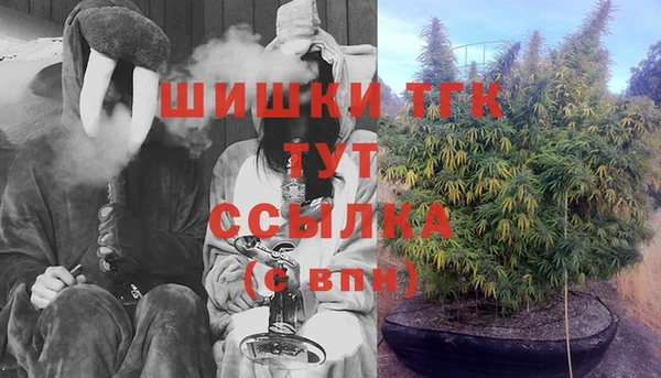амф Козельск
