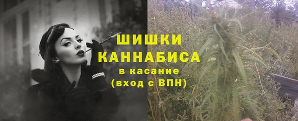 сатива Козловка